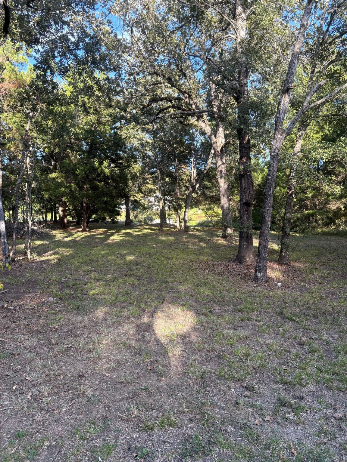 0 Moose Drive Hempstead, TX 77445 - Photo 5 of 16 a backyard of a house with lots of green space