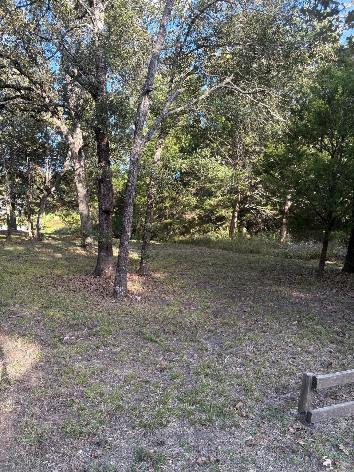 0 Moose Drive Hempstead, TX 77445 - Photo 6 of 16 a view of outdoor space with trees