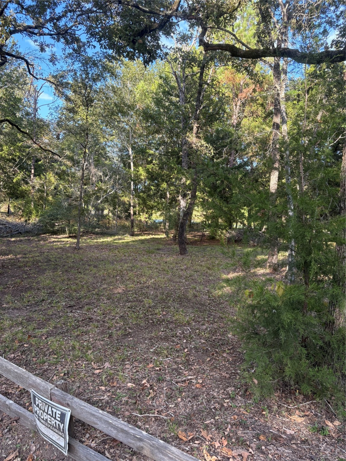 0 Moose Drive Hempstead, TX 77445 - Photo 10 of 16 a view of a field with some trees in the background