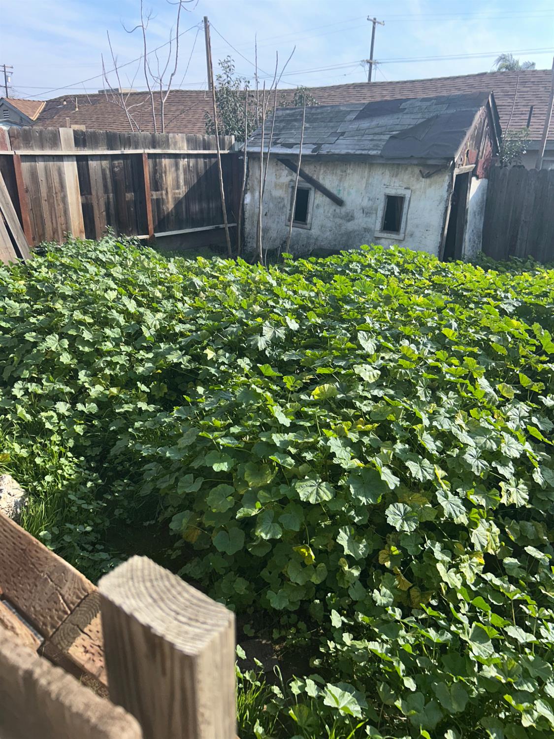 1820 Kenneth Street Modesto, CA 95351 - Photo 6 of 32