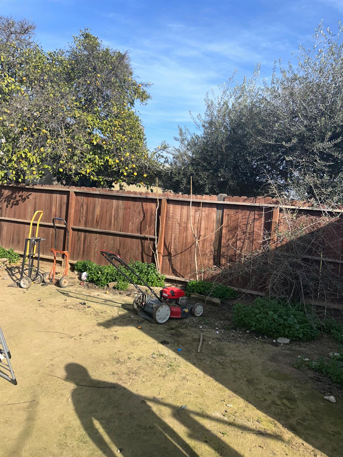 1820 Kenneth Street Modesto, CA 95351 - Photo 8 of 32