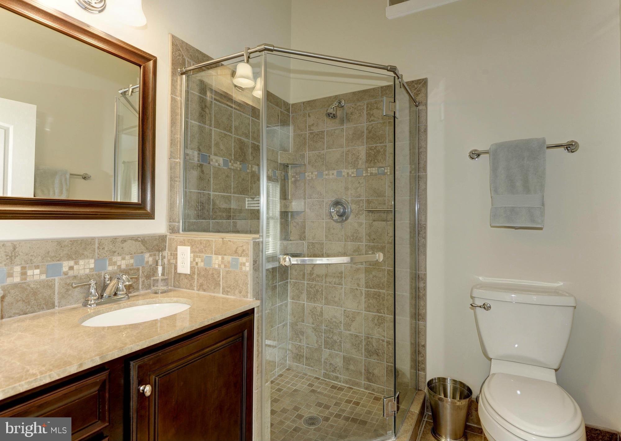 12014 Edgemere Circle Reston, VA 20190 - Photo 16 of 29 Bath (Master)