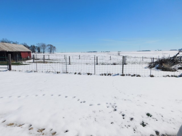 18357 East Twombly Road Rochelle, IL 61068 - Photo 22 of 23