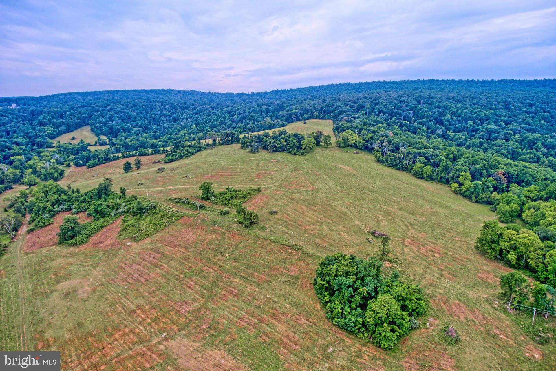 Sunny Ridge Road Round Hill, VA 20141 - Photo 13 of 18 Gallery Image 13