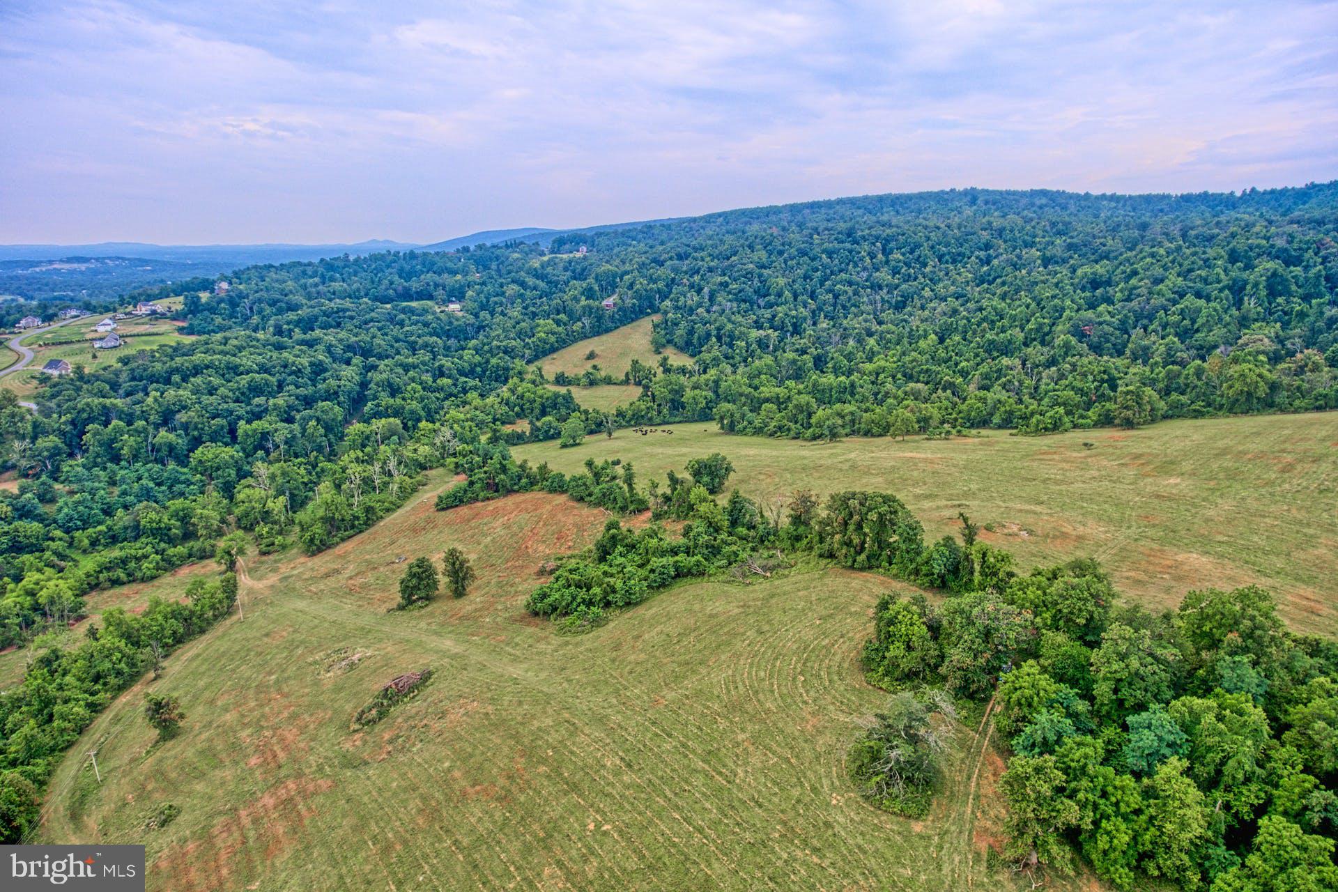 Sunny Ridge Road Round Hill, VA 20141 - Photo 14 of 18 Gallery Image 14