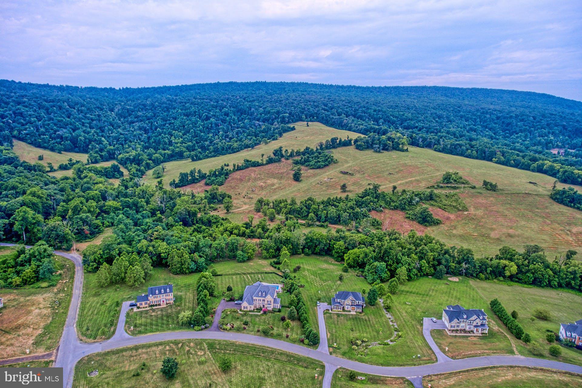 Sunny Ridge Road Round Hill, VA 20141 - Photo 4 of 18 Gallery Image 4