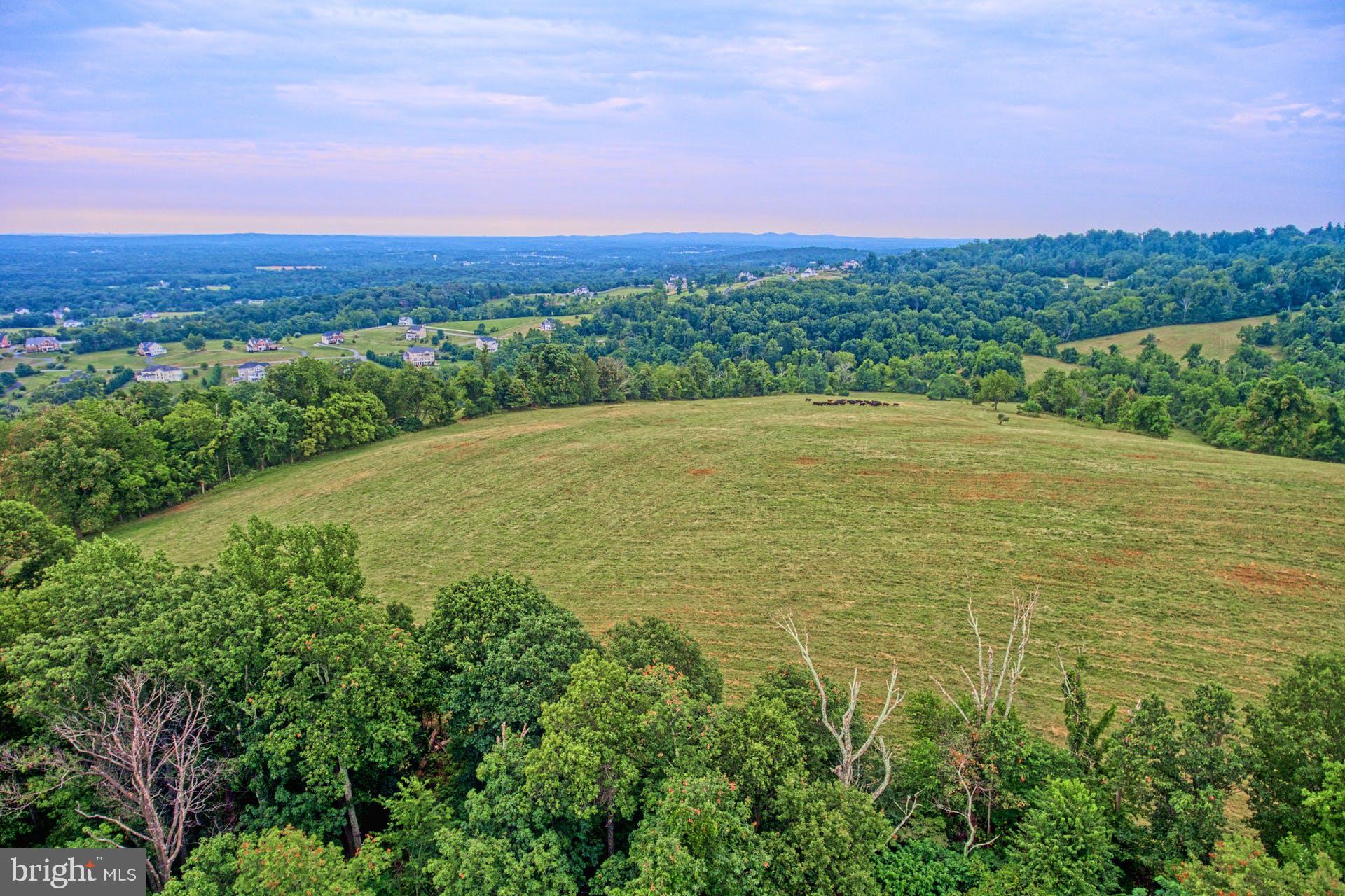 Sunny Ridge Road Round Hill, VA 20141 - Photo 8 of 18 Gallery Image 8