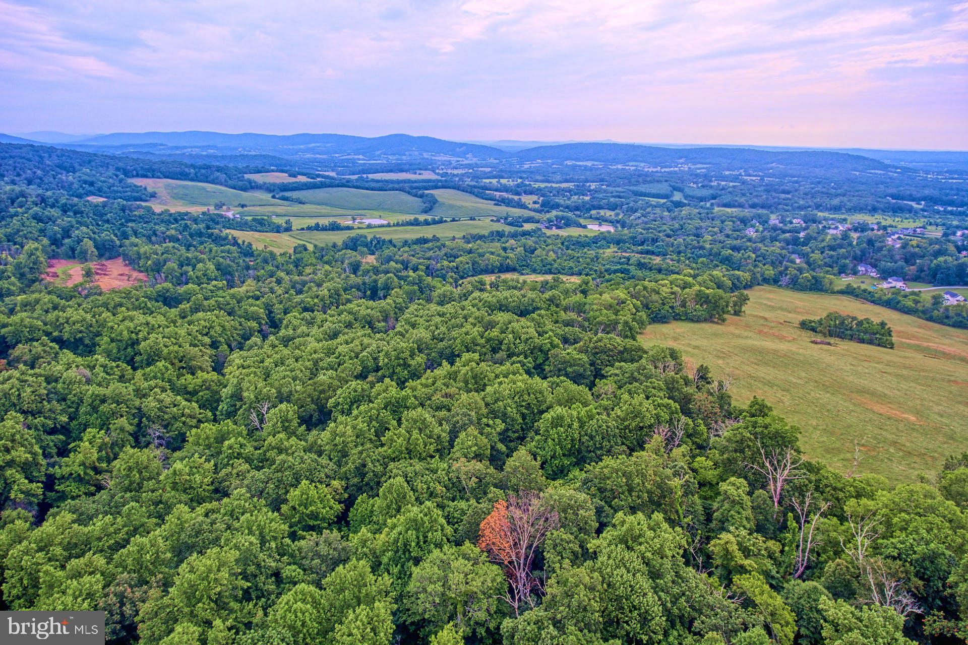 Sunny Ridge Road Round Hill, VA 20141 - Photo 9 of 18 Gallery Image 9