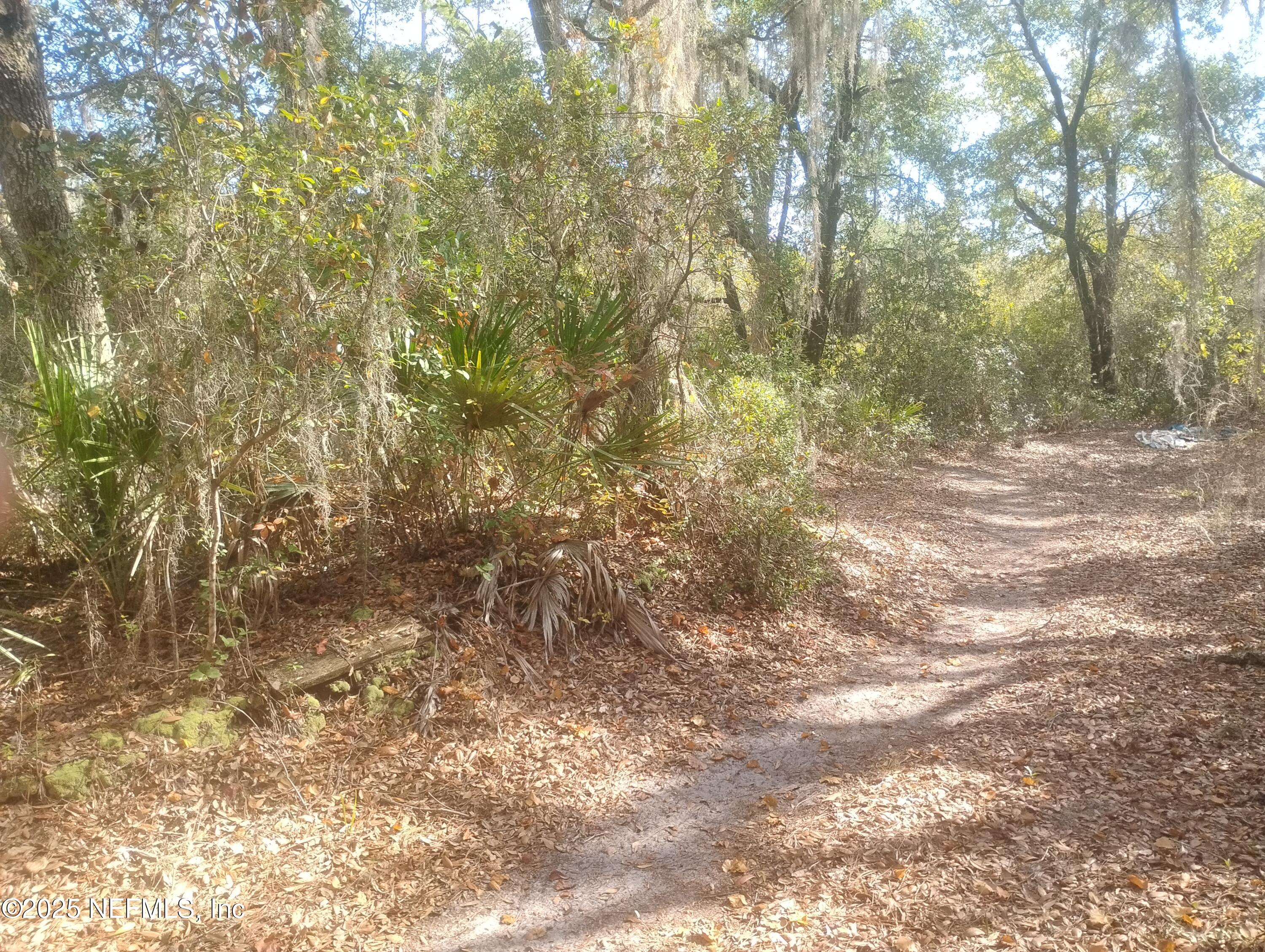 5812 Bryce Street Keystone Heights, FL 32656 - Photo 2 of 6 a view of a yard with a tree