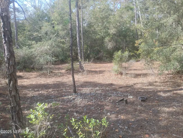 a backyard of a house with lots of green space
