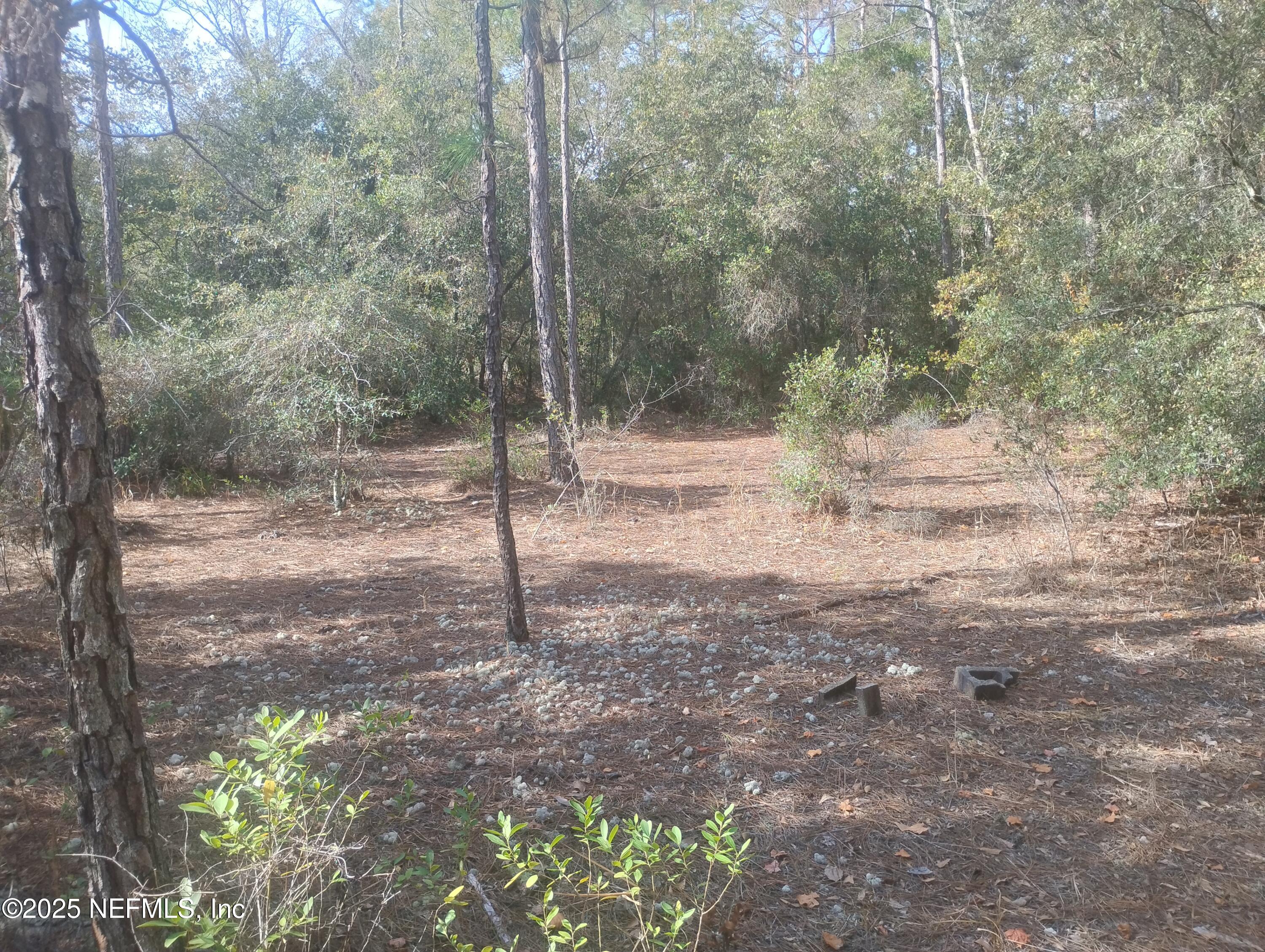 5812 Bryce Street Keystone Heights, FL 32656 - Photo 3 of 6 a backyard of a house with lots of green space