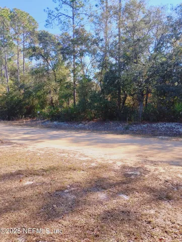 a view of an empty room with trees