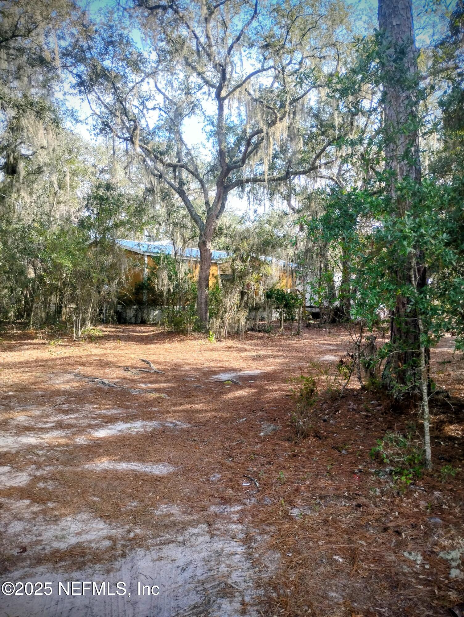 5812 Bryce Street Keystone Heights, FL 32656 - Photo 6 of 6 a view of road with trees