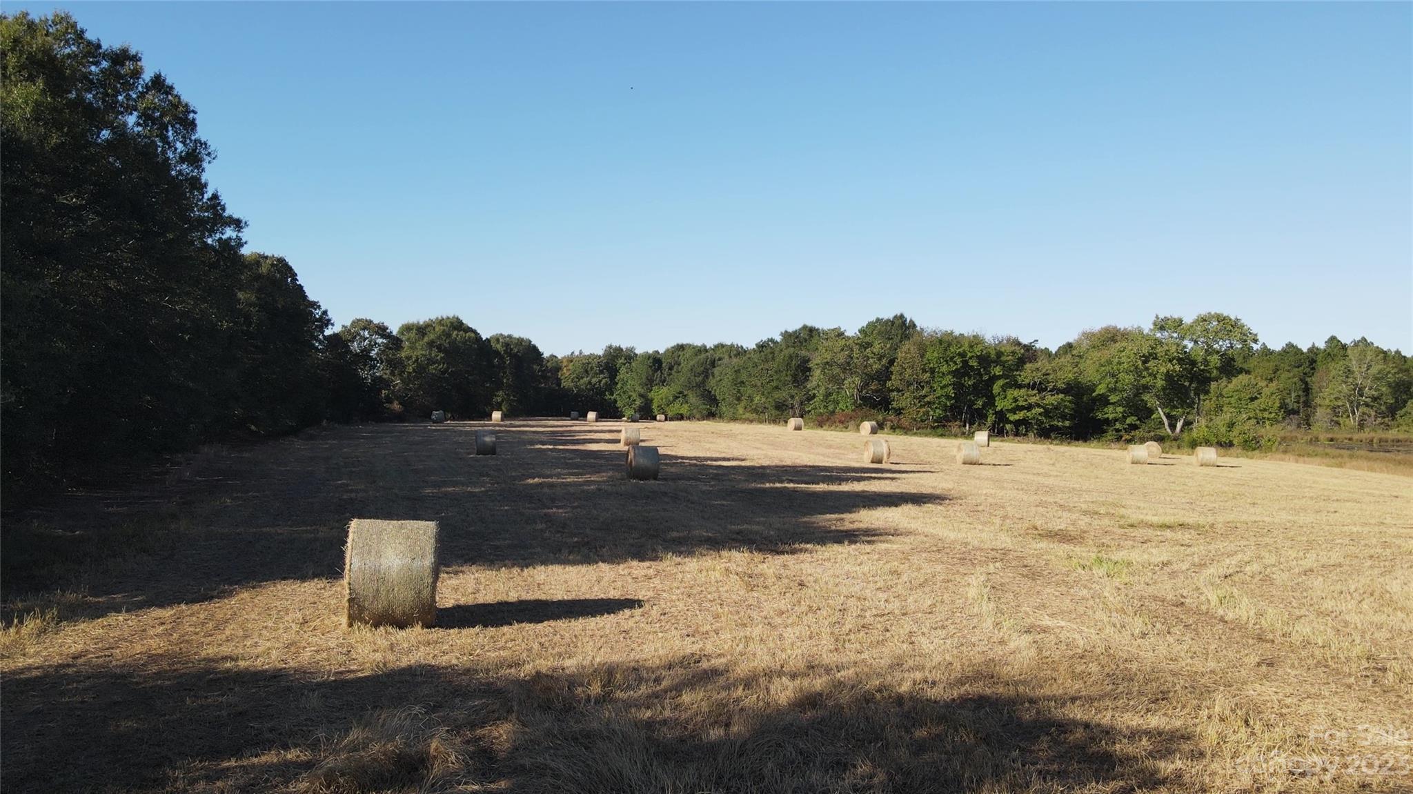 20806 Coley Store Road Locust, NC 28097 - Photo 9 of 35 Gallery Image 9