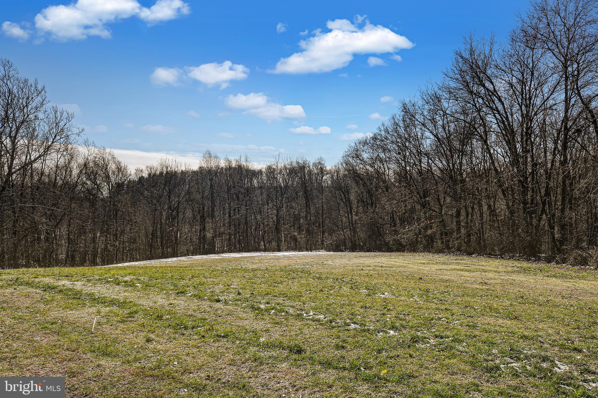 10915 Fingerboard Road Monrovia, MD 21770 - Photo 27 of 27 Fantastic views!