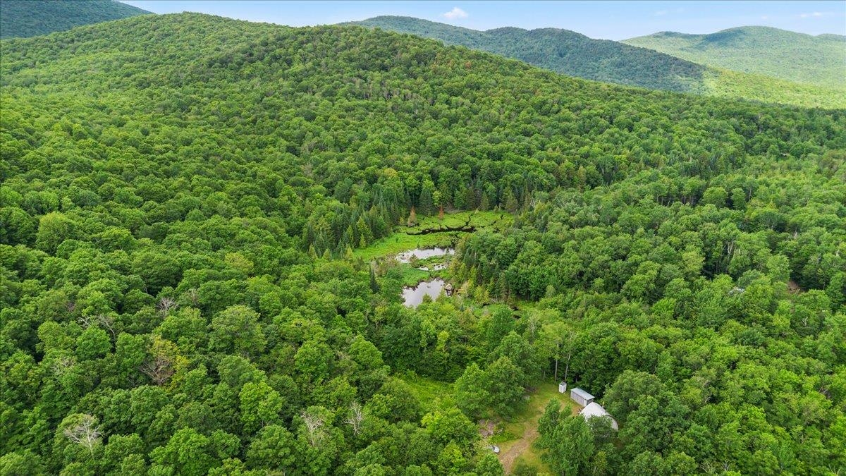 801 Deep Gibou Road Montgomery, VT 05471 - Photo 8 of 23