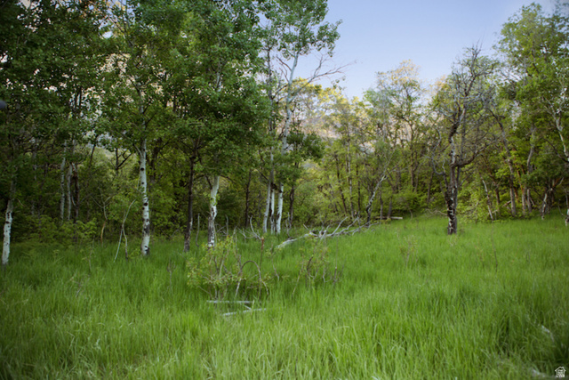 2631 North Mountain Pk Road, Unit 56 Alpine, UT 84004 - Photo 4 of 7 View of wooded area