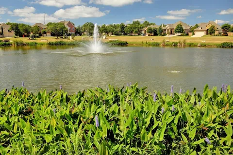 a view of a lake with a city