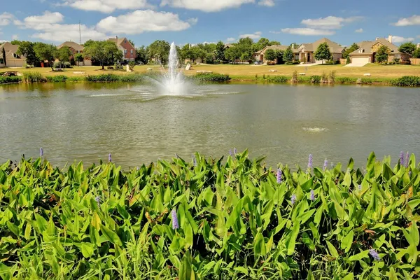 a view of a lake with a city