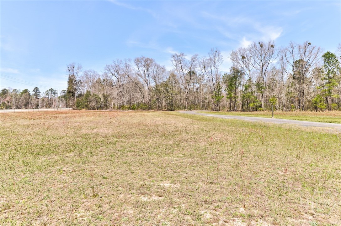 109 Lorenzo Hurst Road Springfield, GA 31329 - Photo 31 of 32