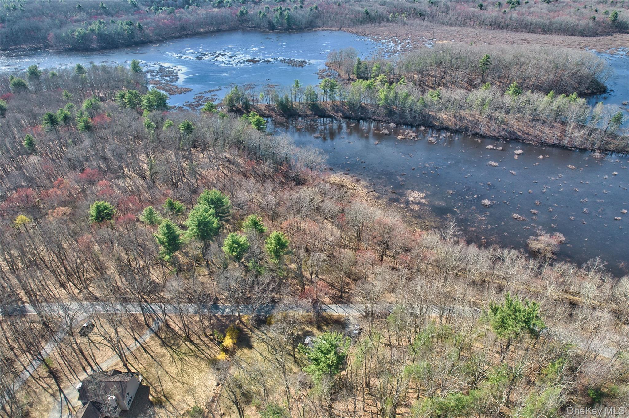 1193 S Road Wurtsboro, NY 12790 - Photo 33 of 41 a view of a dry yard with trees
