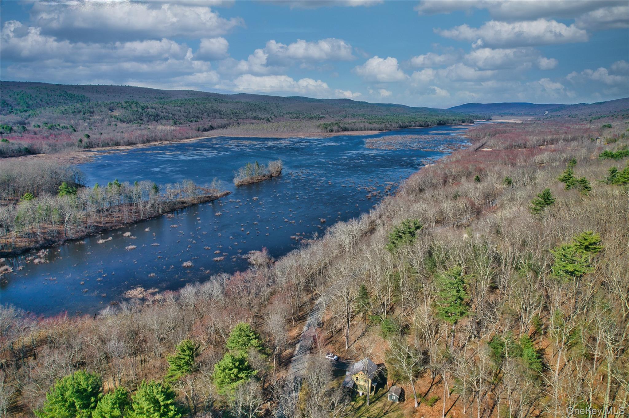 1193 S Road Wurtsboro, NY 12790 - Photo 39 of 41 a view of lake with mountain