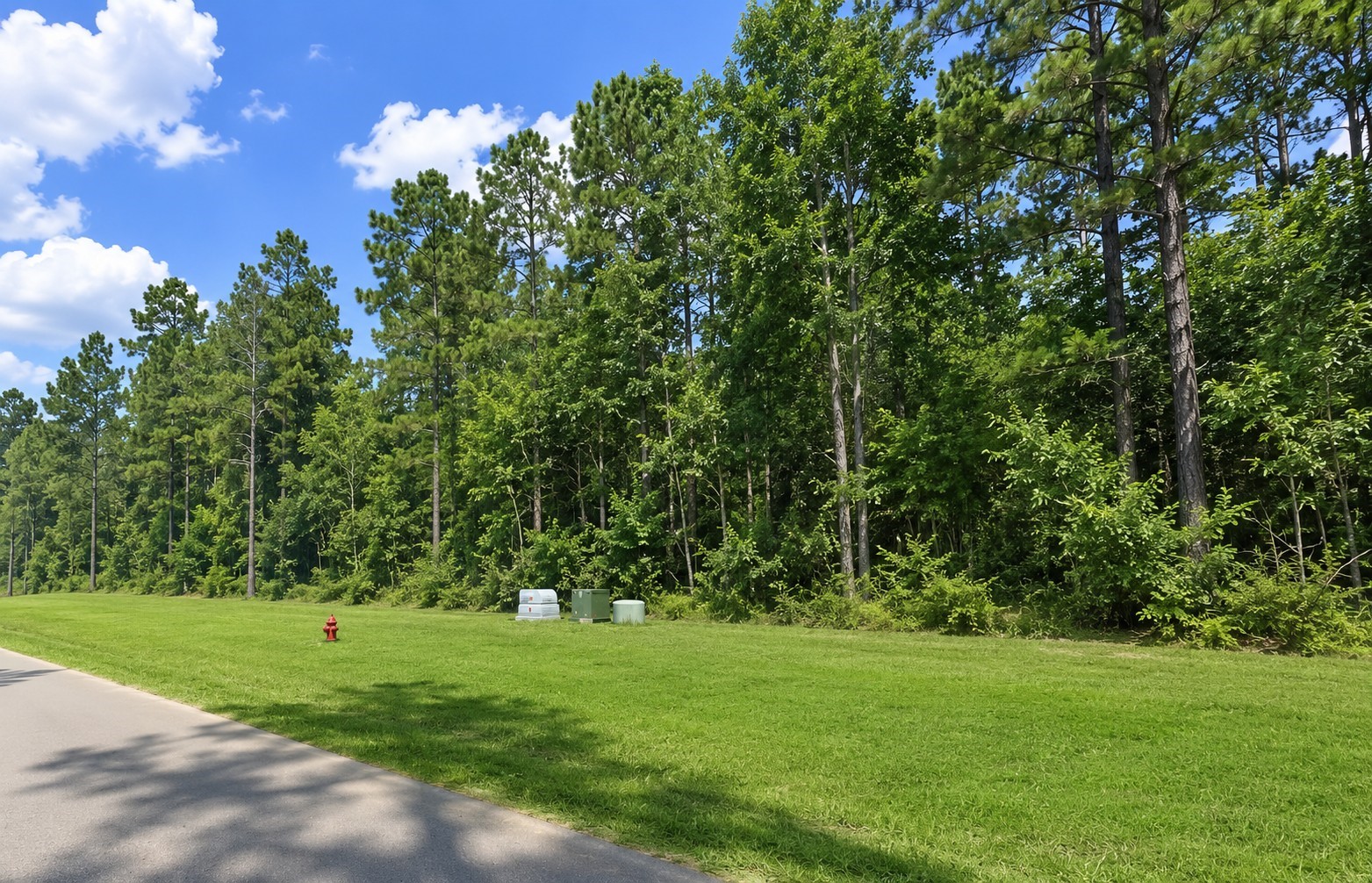 15586 Republic Ranch Road North Willis, TX 77378 - Photo 4 of 18 Gallery Image 4