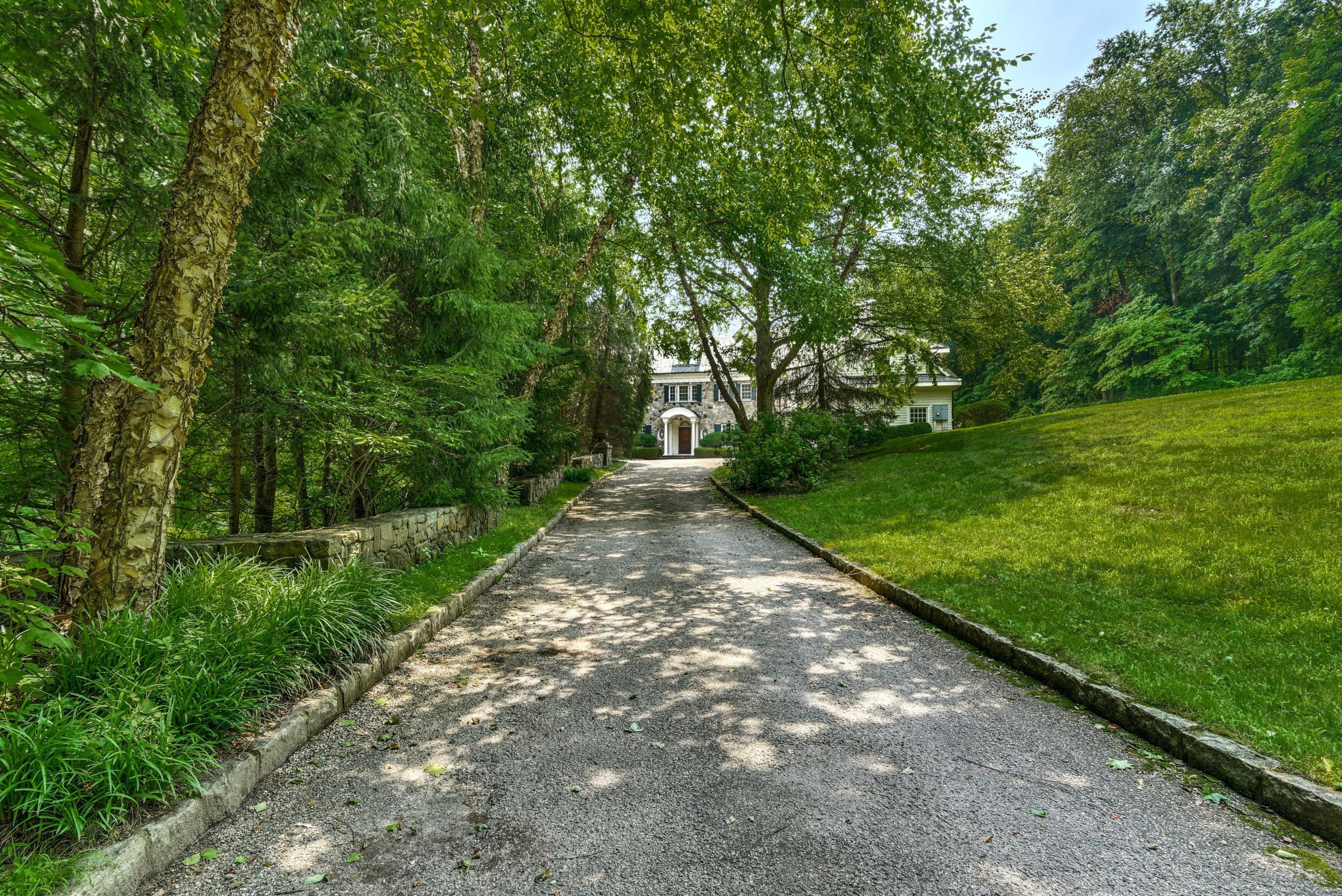 183 Ferris Hill Road New Canaan, CT 06840 - Photo 36 of 40 a view of a yard with plants and a large tree