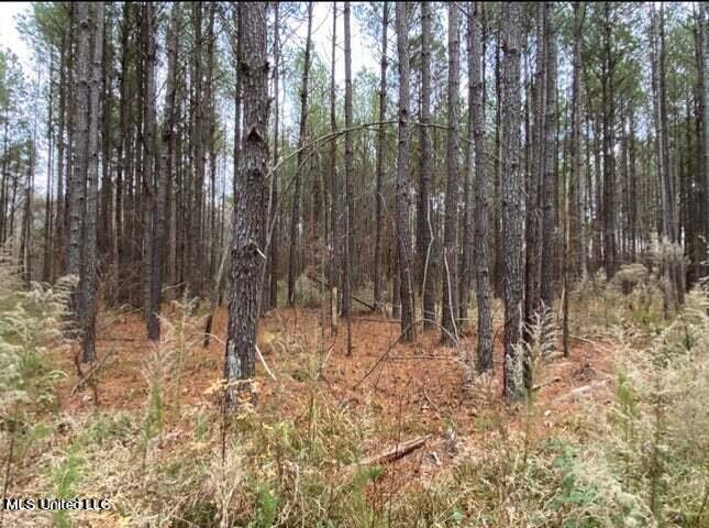 Jerusalem Church Rd Road Brandon, MS 39042 - Photo 2 of 5 20220515170307791766000000-o-1