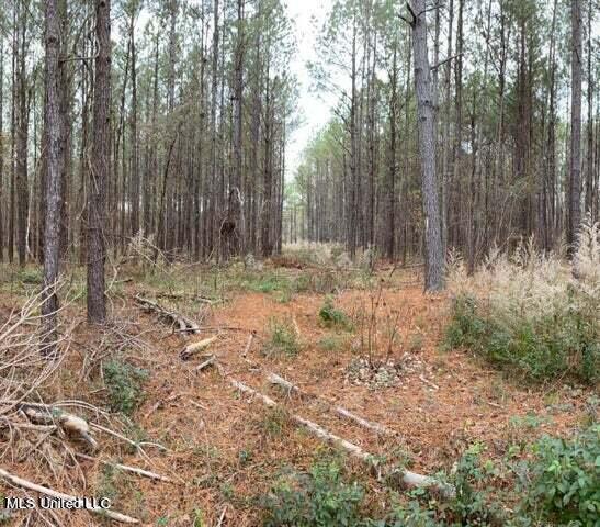 Jerusalem Church Rd Road Brandon, MS 39042 - Photo 3 of 5 20220515170330856488000000-o