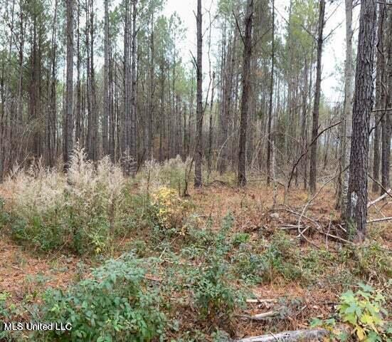 Jerusalem Church Rd Road Brandon, MS 39042 - Photo 4 of 5 20220515170334997768000000-o