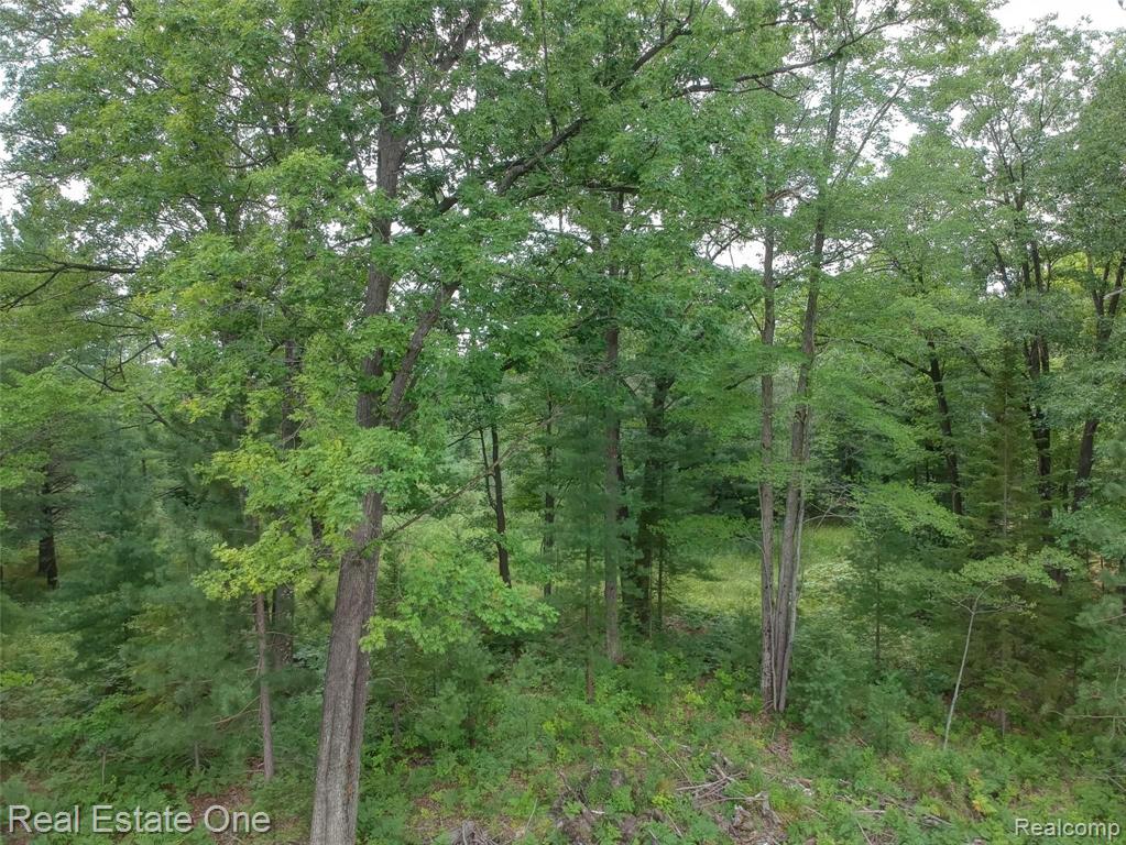 0 South Morrison Road West Branch, MI 48661 - Photo 35 of 38