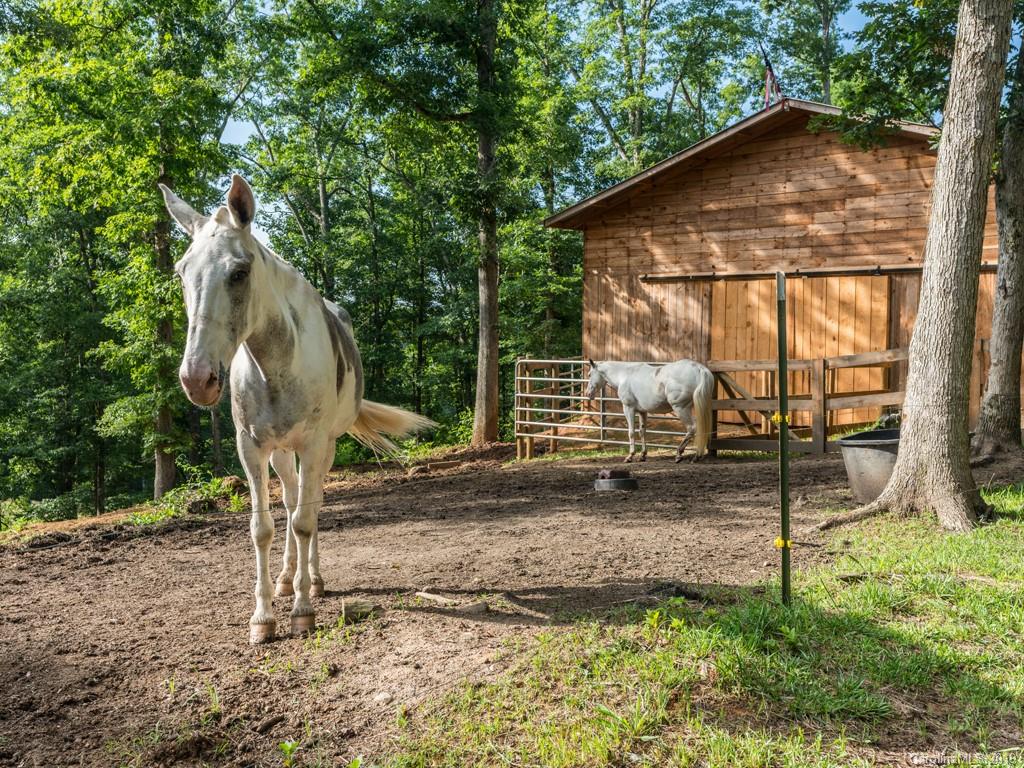 515 Grandview Road Alexander, NC 28701 - Photo 27 of 27 Gallery Image 27