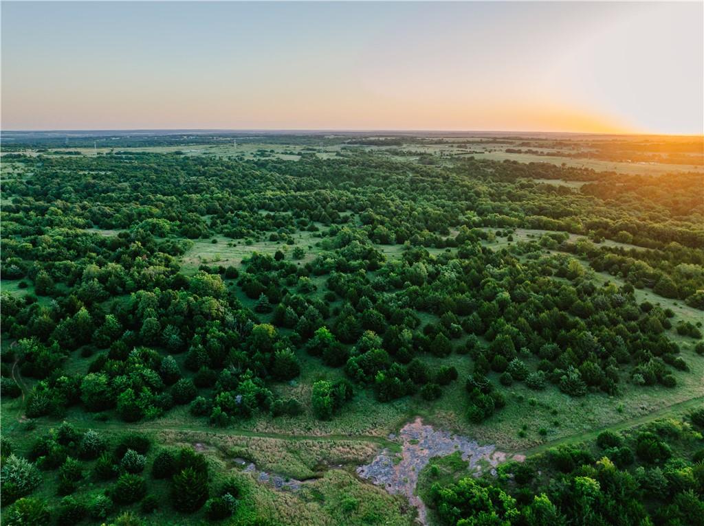 42629 South 34200 Road Pawnee, OK 74058 - Photo 63 of 99