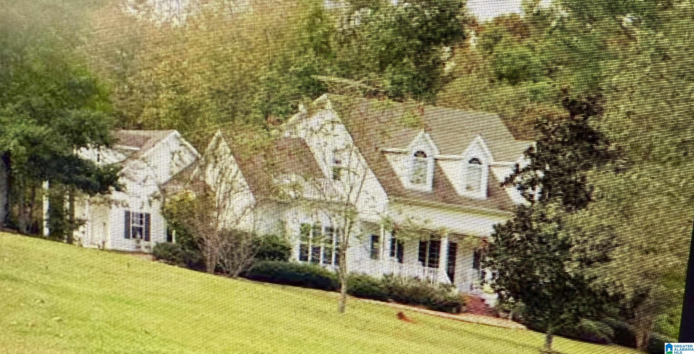 466 Dorough Road Columbiana, AL 35051 - Photo 1 of 1