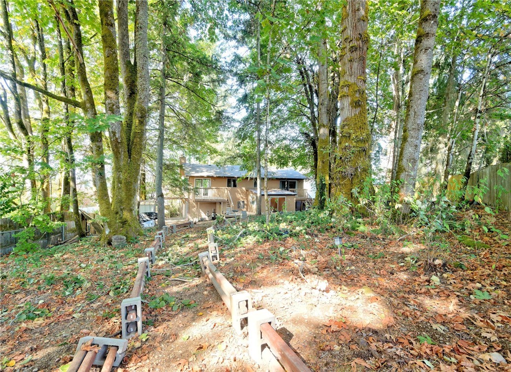 3619 Southeast 19th Court Renton, WA 98058 - Photo 2 of 21 a view of a yard with plants and large trees