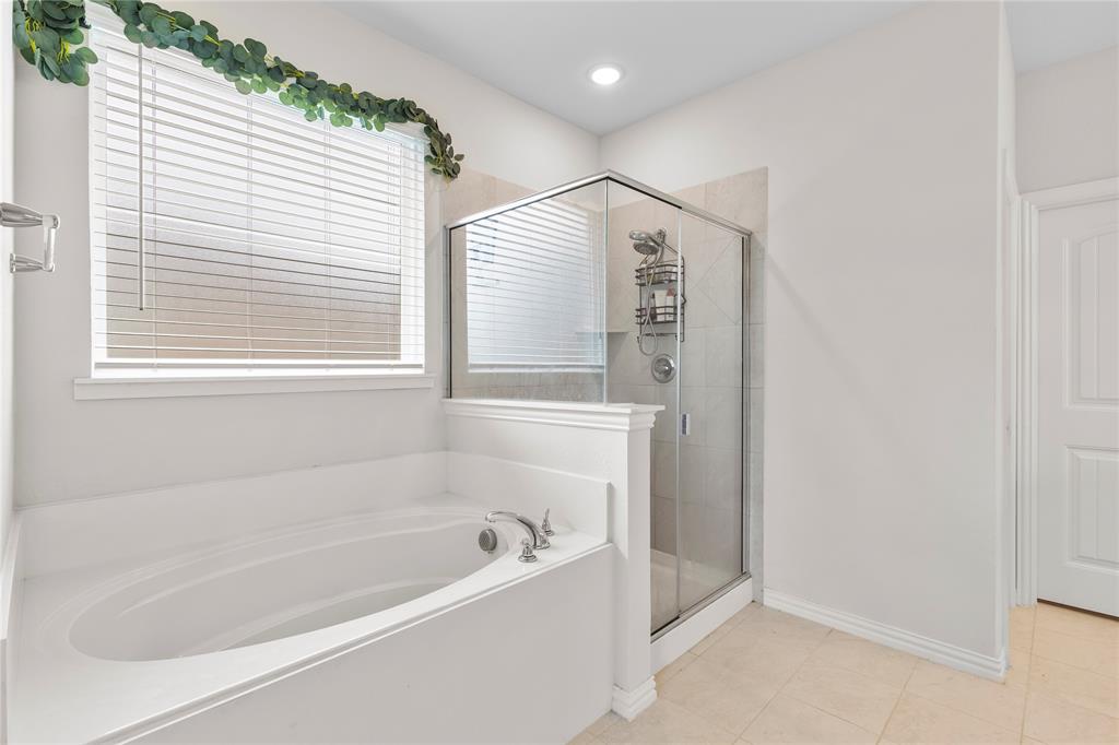 804 Feather Edge Drive Springtown, TX 76082 - Photo 17 of 35 Primary Bath