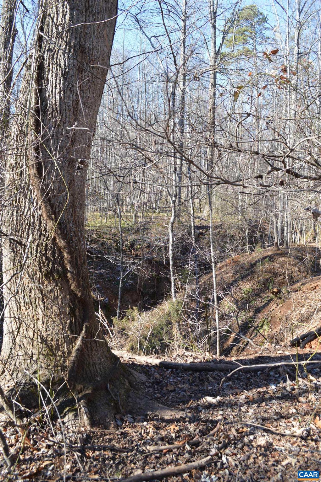 Frays Ridge, Unit 37 Earlysville, VA 22936 - Photo 9 of 18