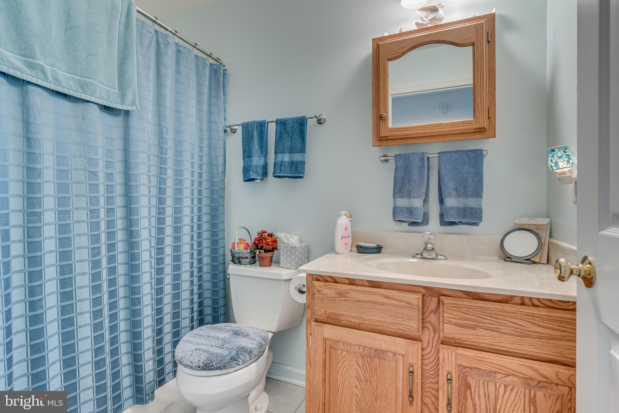 1296 Spielman Road Berkeley Springs, WV 25411 - Photo 34 of 68 Hall bath features single bowl vanity, tub/shower