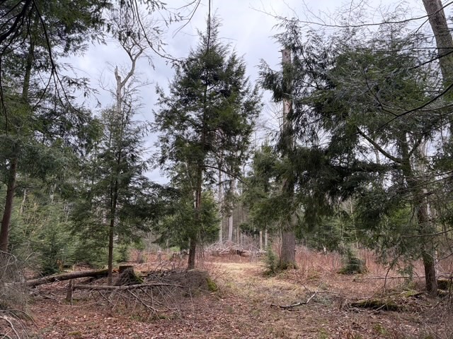 Pritchard Road Springville, NY 14141 - Photo 1 of 23