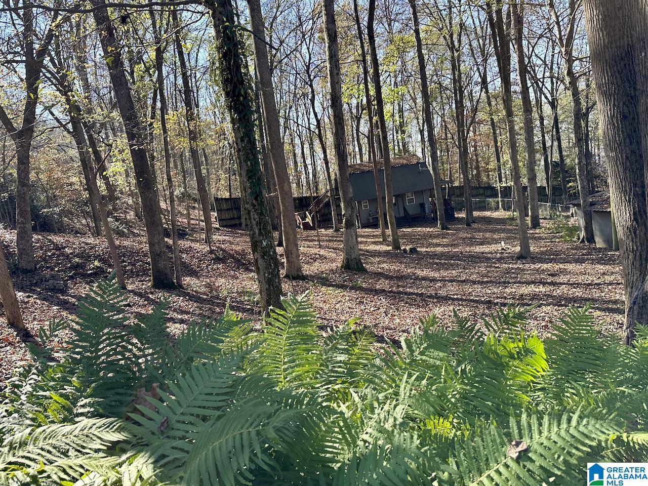 3371 County Road 104 Cedar Bluff, AL 35959 - Photo 82 of 100