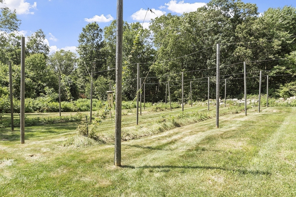 9 A Ashley Road Southborough, MA 01772 - Photo 38 of 42