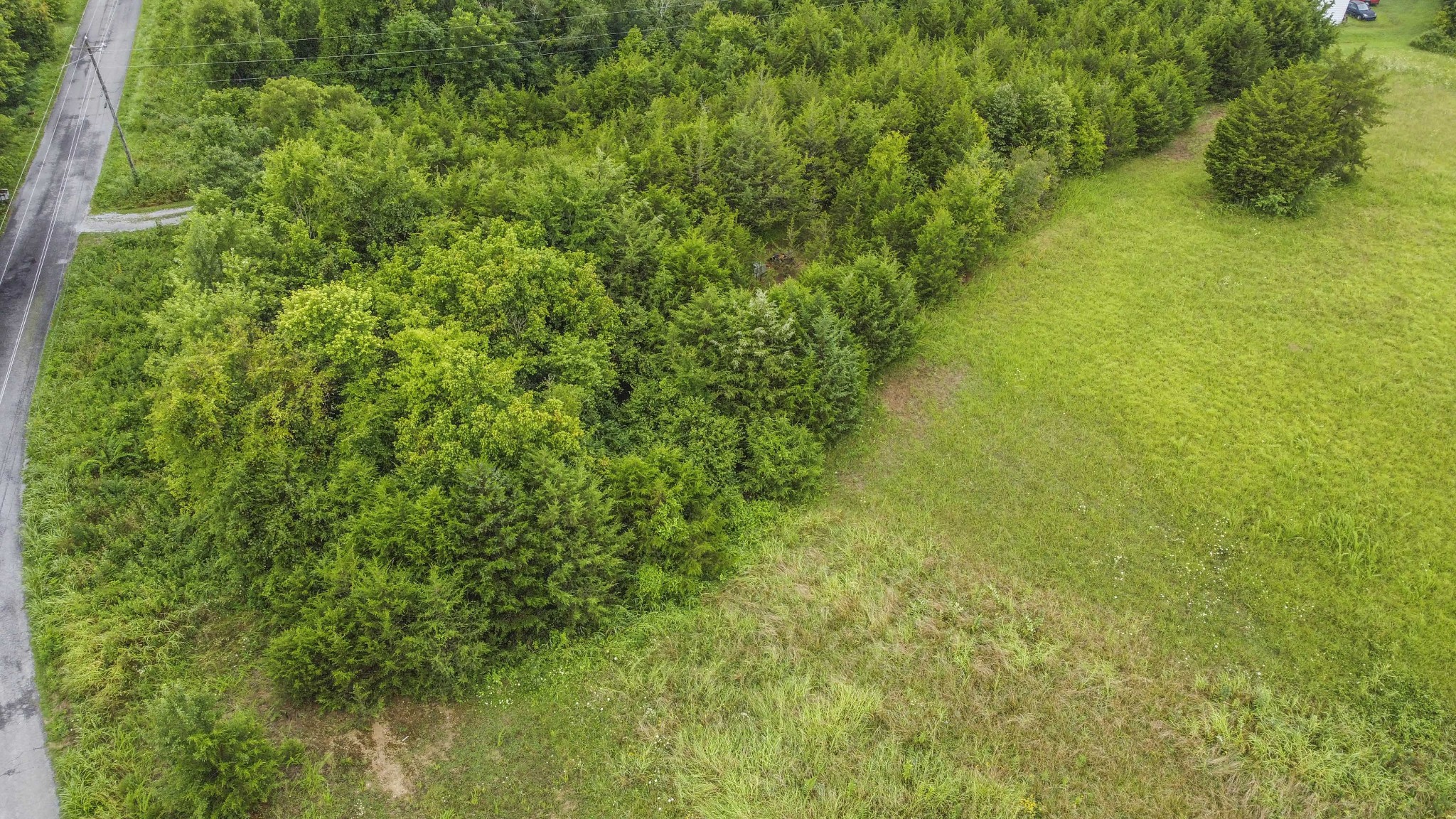 0 Wisecarver Road Mosheim, TN 37818 - Photo 13 of 20 Gallery Image 13
