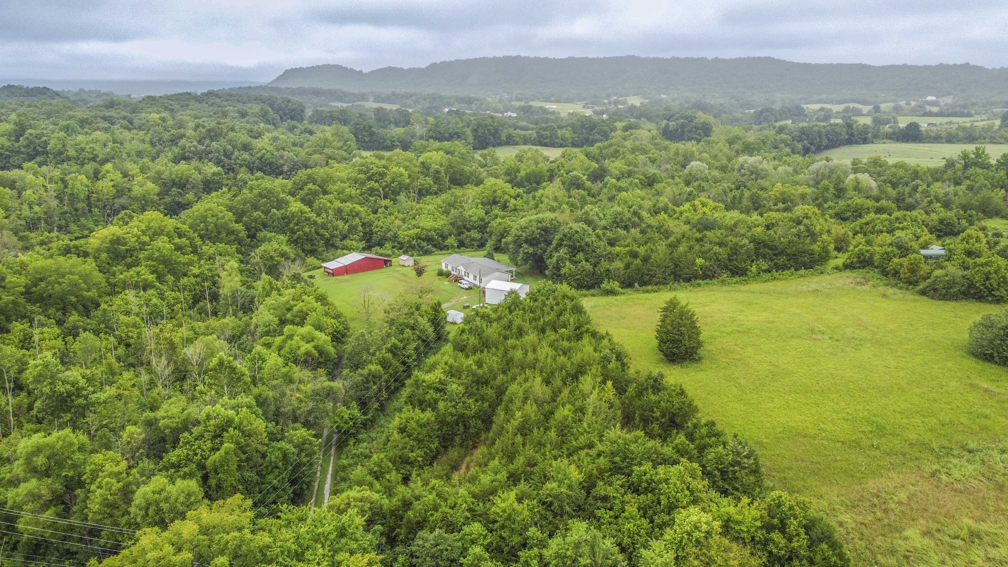 0 Wisecarver Road Mosheim, TN 37818 - Photo 14 of 20 Gallery Image 14