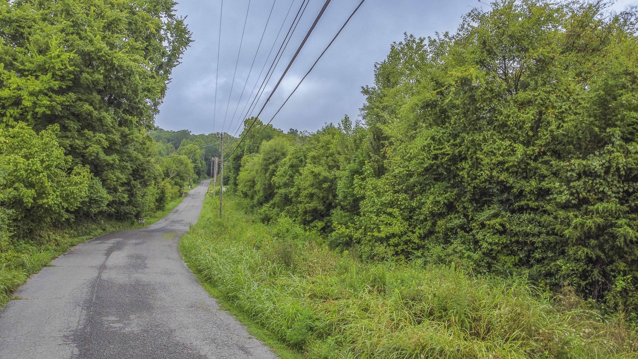 0 Wisecarver Road Mosheim, TN 37818 - Photo 16 of 20 Gallery Image 16