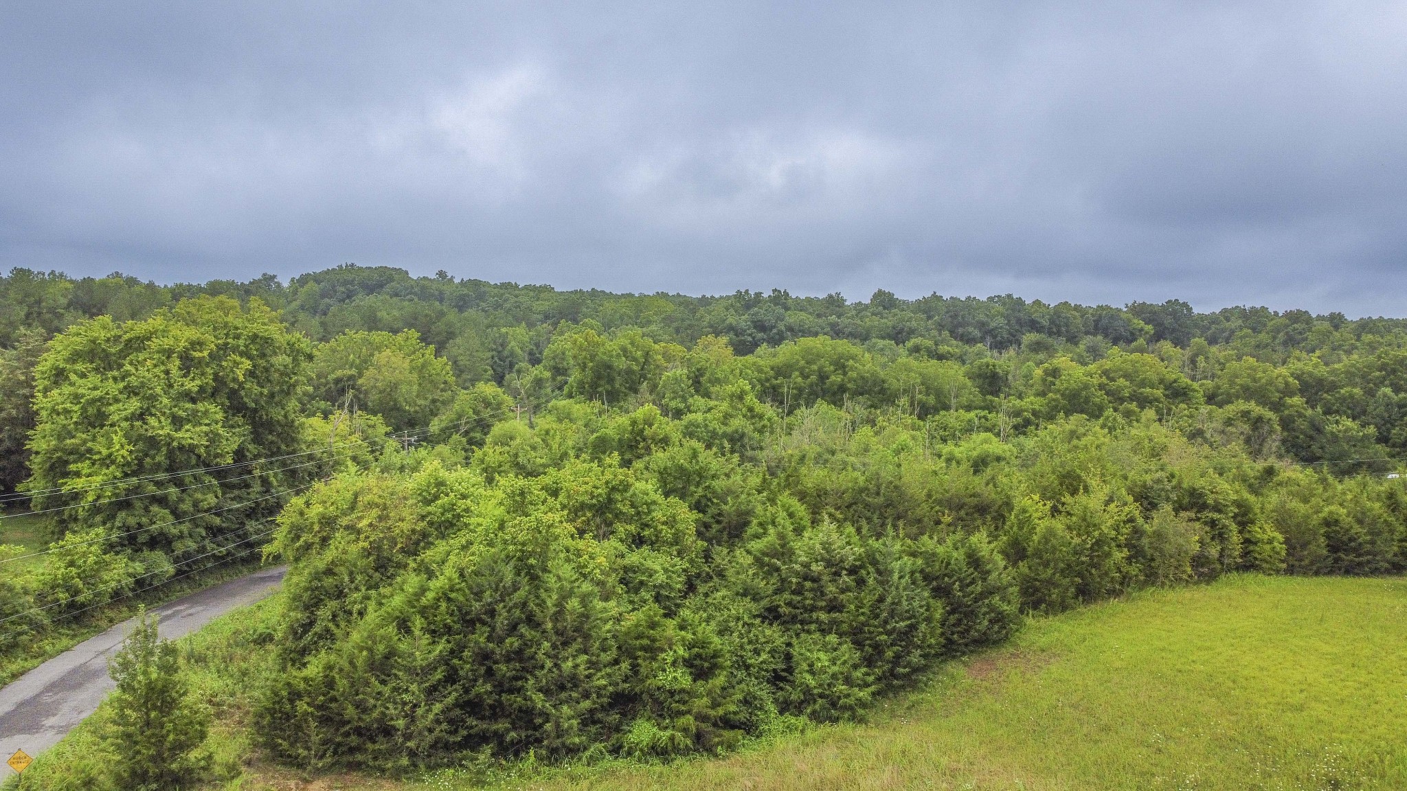 0 Wisecarver Road Mosheim, TN 37818 - Photo 18 of 20 Gallery Image 18