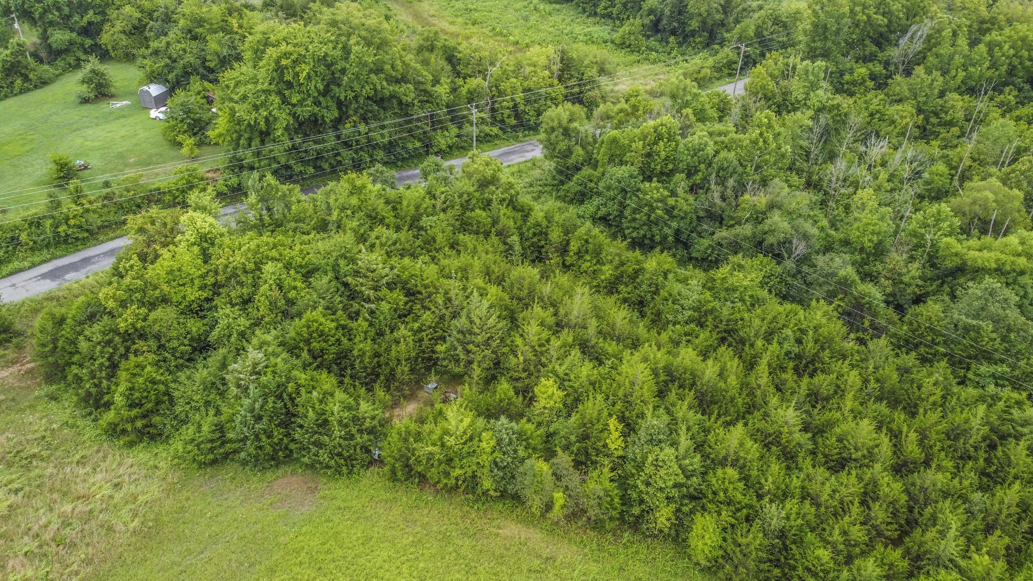 0 Wisecarver Road Mosheim, TN 37818 - Photo 3 of 20 Gallery Image 3