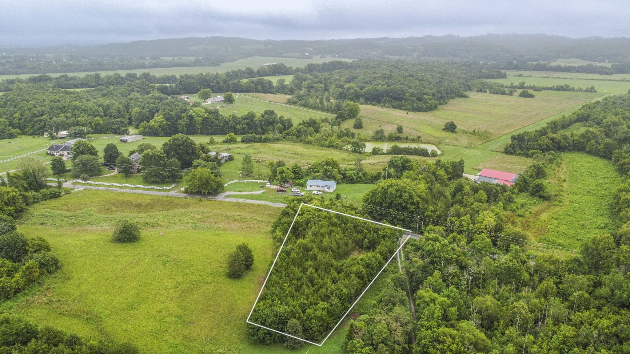 0 Wisecarver Road Mosheim, TN 37818 - Photo 7 of 20 Gallery Image 7
