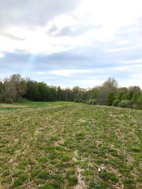 0 Saylor Road Northwest Pickerington, OH 43147 - Photo 3 of 10 Lot 4g