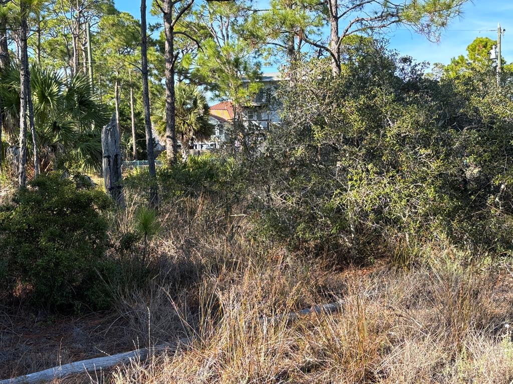 1012 Porter Street St. George Island, FL 32328 - Photo 9 of 22